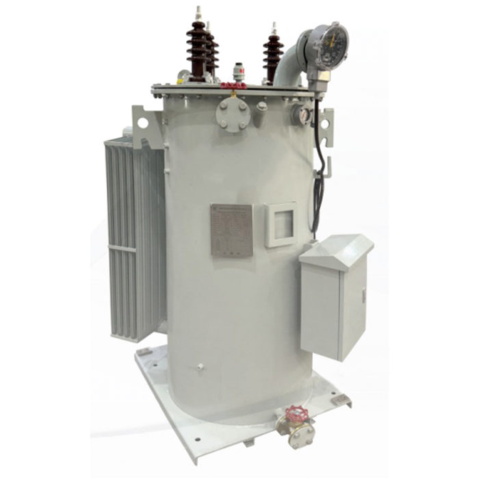 Single Phase Automatic Voltage Regulator